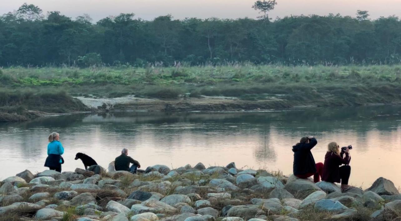 Bamby Chilling House - Feel The Nature Sauraha Exterior foto